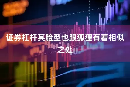 证券杠杆其脸型也跟狐狸有着相似之处