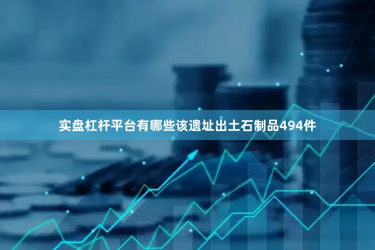 实盘杠杆平台有哪些该遗址出土石制品494件