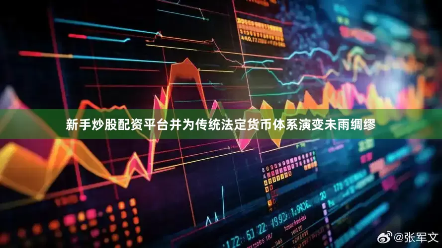 新手炒股配资平台并为传统法定货币体系演变未雨绸缪