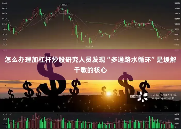 怎么办理加杠杆炒股研究人员发现“多通路水循环”是缓解干敏的核心