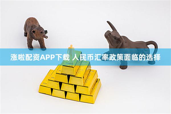 涨啦配资APP下载 人民币汇率政策面临的选择