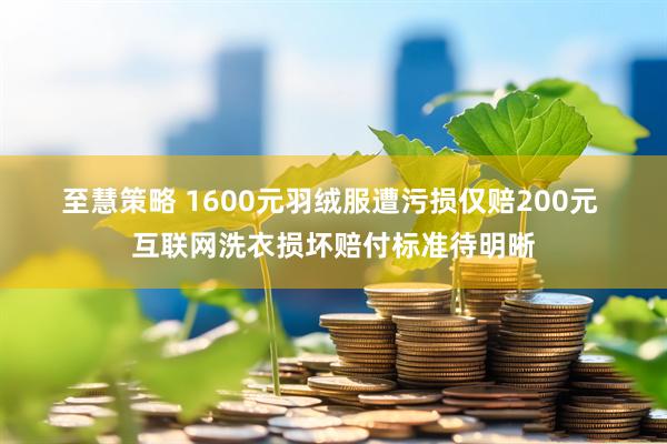 至慧策略 1600元羽绒服遭污损仅赔200元 互联网洗衣损坏赔付标准待明晰