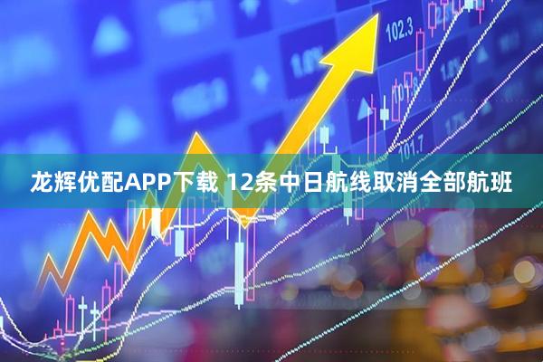 龙辉优配APP下载 12条中日航线取消全部航班