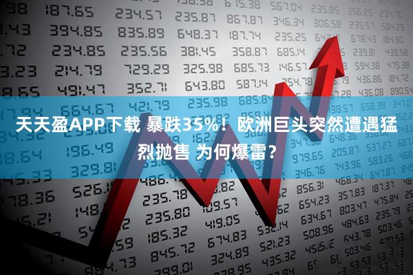 天天盈APP下载 暴跌35%！欧洲巨头突然遭遇猛烈抛售 为何爆雷？